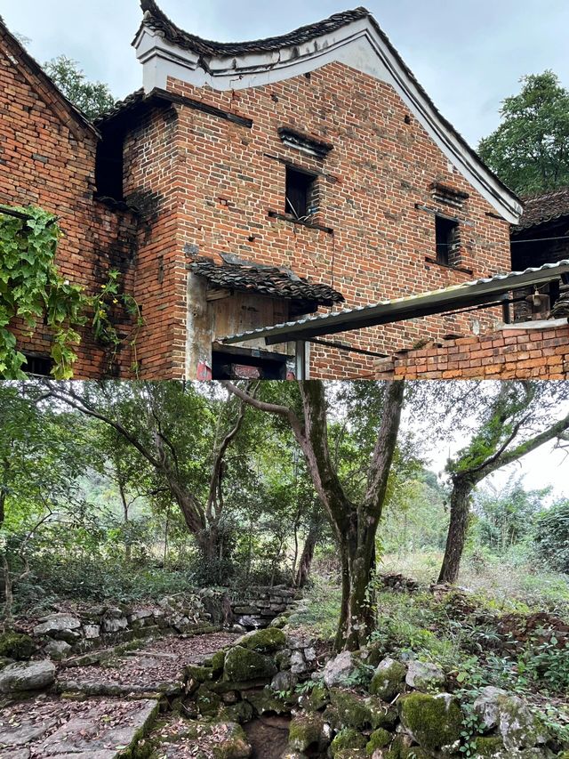 煙雨中的勾藍瑤寨