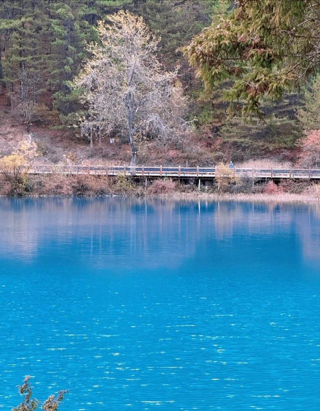 四川九寨溝——人間仙境，美景如畫