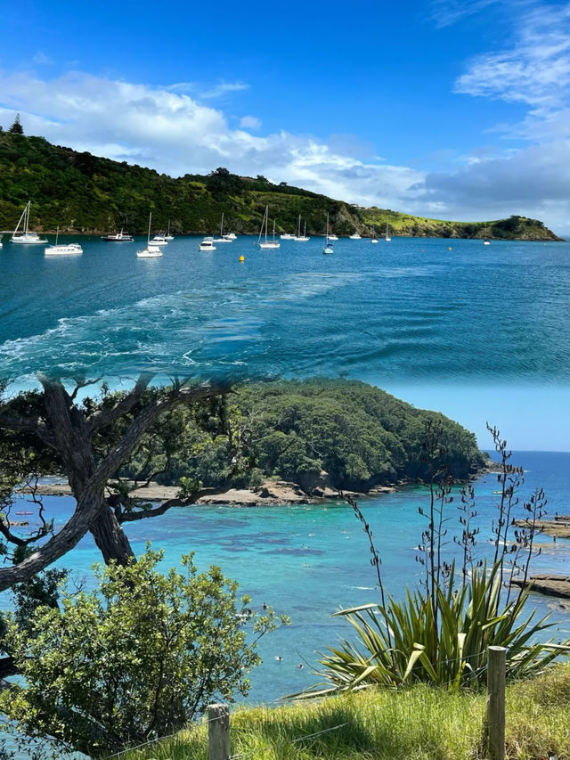 3月新西蘭絕美秋景，必打卡景點全攻略！