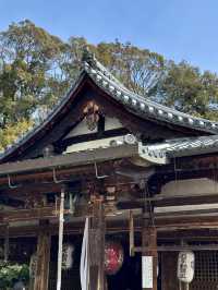 日本6天遊 超詳細攻略來啦