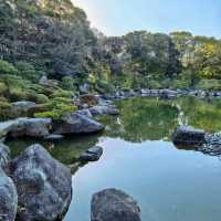 🌸闖入福岡大濠公園·日本庭園，邂逅和風雅韻