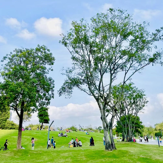 From Ducks to Sunsets: Exploring Shenzhen’s Stunning Parks