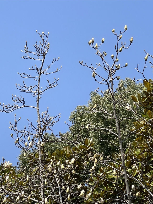 週末好去處｜徐家匯公園