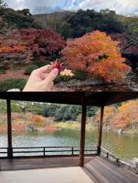 德島,專屬親子的夢幻樂園,歡樂不設限!