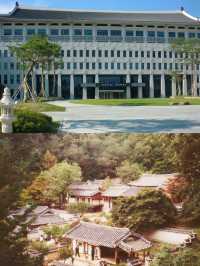 安東市的介紹