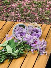 西安最美的海棠花海真係靚到暈低