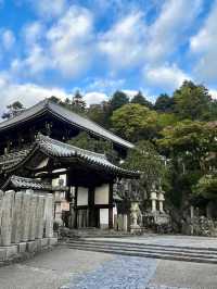 6日日本遊 清明出行正當時
