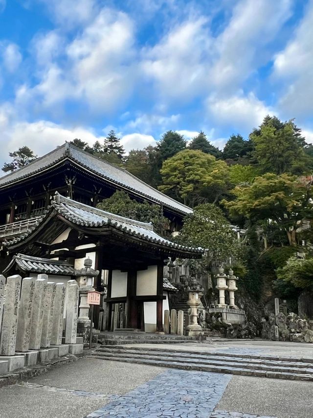 6日日本遊 清明出行正當時