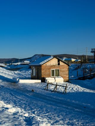 Harbin-Mohe-Arctic Village 6-Day Tour: A Super Detailed Guide to Must-See Attractions