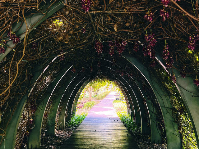 🎇中山金钟湖，如詩如畫的美景