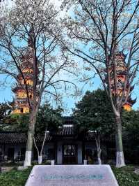 玉蘭映雙塔，春色落滿園。