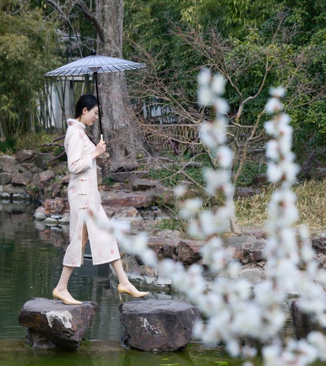 上海賞梅保姆級攻略