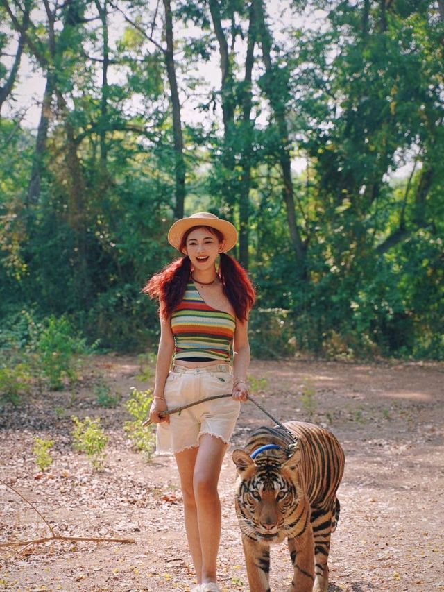 Bangkok Safari Park 🏜️｜Golden Hour in Bangkok