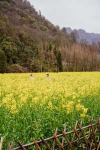 地鐵直達春日 | 在十里河灘的油菜花海裡騎行追風。