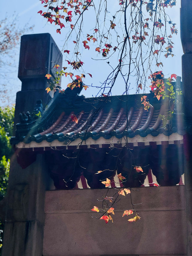 新會圭峰山｜逃離都市吸氧計劃