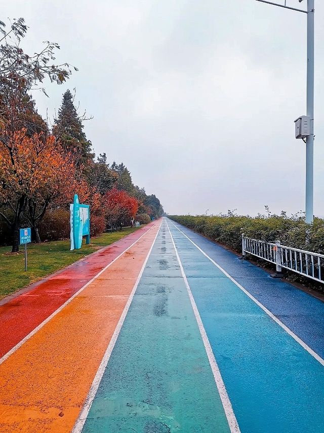 貢湖灣濕地公園 | 細雨濛濛時走在太湖畔