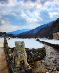 聞慶市竟然藏著韓國懸崖咖啡廳、粉色海洋、千年山城...