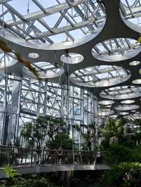 上海溫室花園遊玩攻略，都市中的綠野仙蹤
