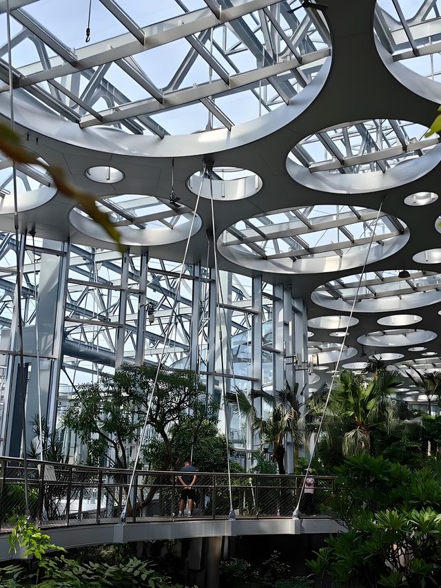 上海溫室花園遊玩攻略，都市中的綠野仙蹤