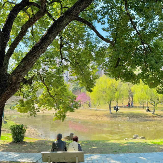 3.20實拍！武漢這個公園美到封神