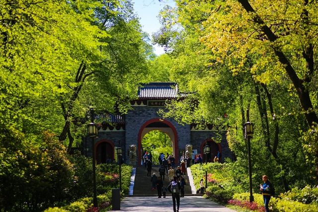 詩意的中國滁州站：滁州市旅遊攻略