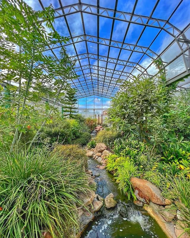 英國阿伯丁 | 戴西公園——城市中的寧靜綠洲