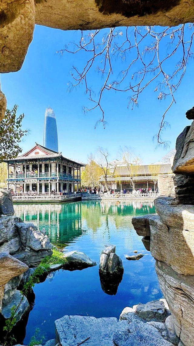 3月實拍|濟南的春天真的絕了 3月實拍|濟南的春天真的絕了