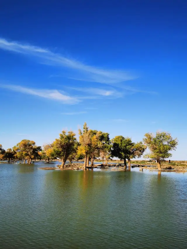 10일간 중웨이 등지를 여행하는 짧은 연휴 여행 필독 가이드