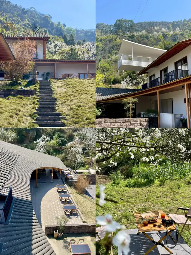 Live in Spring | Luzhou Danlin "Buzai Shanlin" Homestay: A Healing Retreat to Sleep with Nature