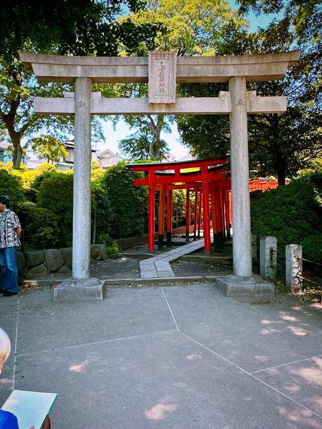 探索根津神社——東京的隱世瑰寶