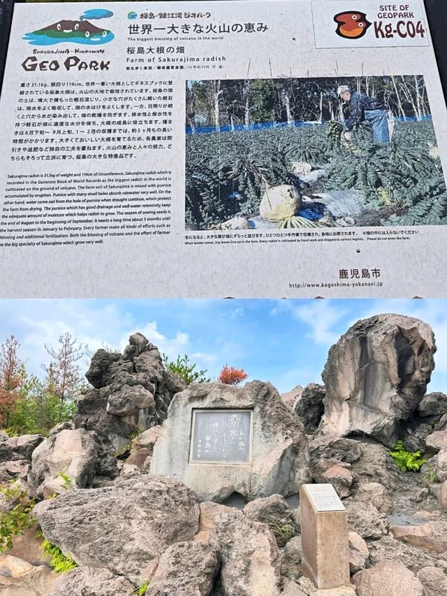 壯麗的櫻島