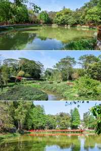 人少好拍在廣州我想去無數次的寶藏公園