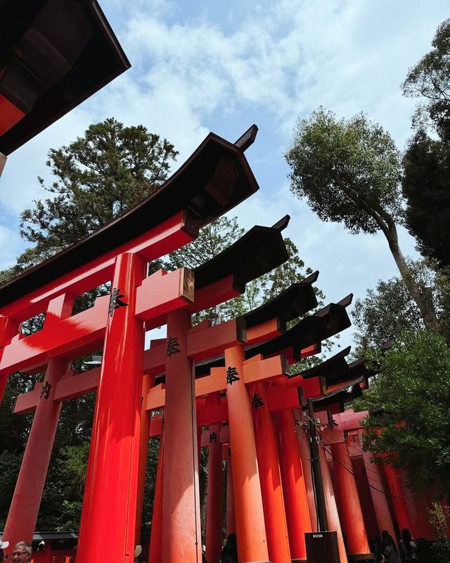 京都必打卡景點攻略，一篇解鎖古都的秘密