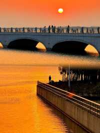 上海彩虹橋，帶著心愛的女孩子去散步欣賞浪漫日落🌄