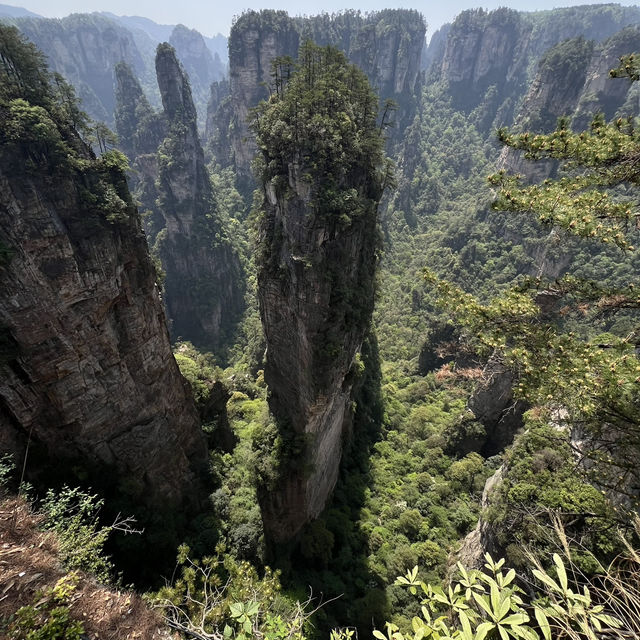 復活節假期張家界6日遊
