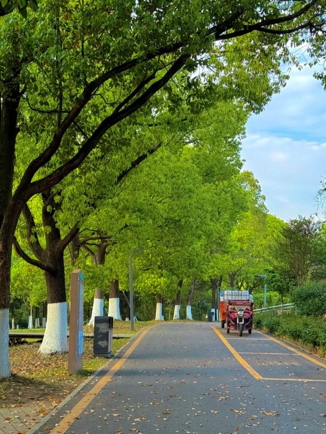 貴陽，真是一個喜木的城市！