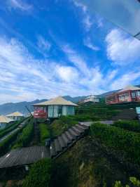 宜昌超治癒嘅小眾茶園民宿