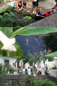 立夏儀式感｜古村溯溪玩水，迎接桐廬25°C的夏天