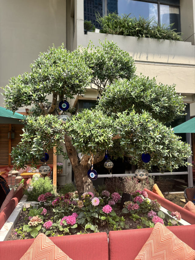 Lebanese food in Shanghai 
