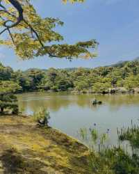 京都必到景點懶人包，景觀、文化、歷史一次滿足