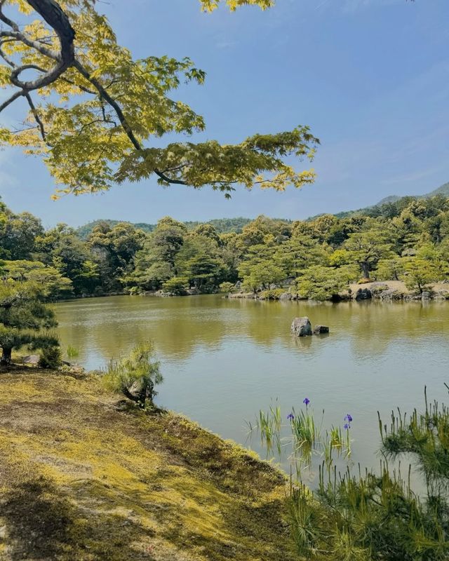 京都必到景點懶人包，景觀、文化、歷史一次滿足
