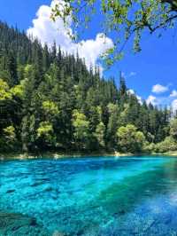 A Magical Journey to Chengdu Juichaigo 😍