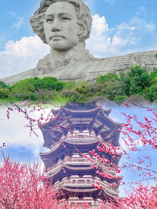往返長沙22次，強烈推薦這座誠市