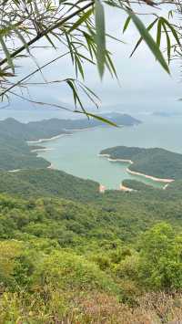 終於摸到4億年嘅鬼手岩