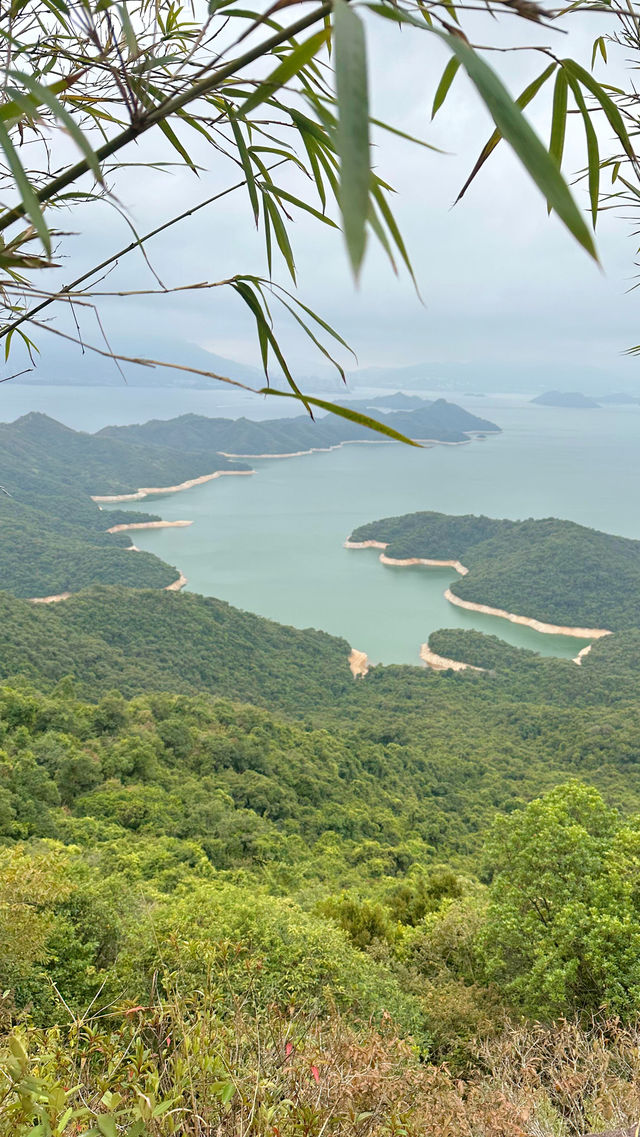 終於摸到4億年嘅鬼手岩