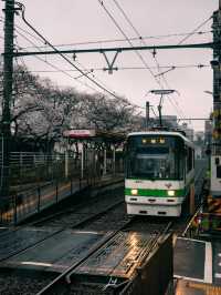 東京 | 搭乘昭和風情的櫻花電車🌸