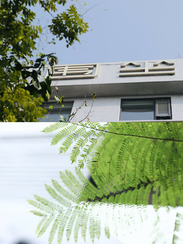 成都巷弄裡的設計師酒店，天台花園真係太愜意啦！