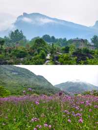 酉陽兩日一夜戶外自駕攻略