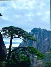 安徽宏村黃山|清明三天出行攻略