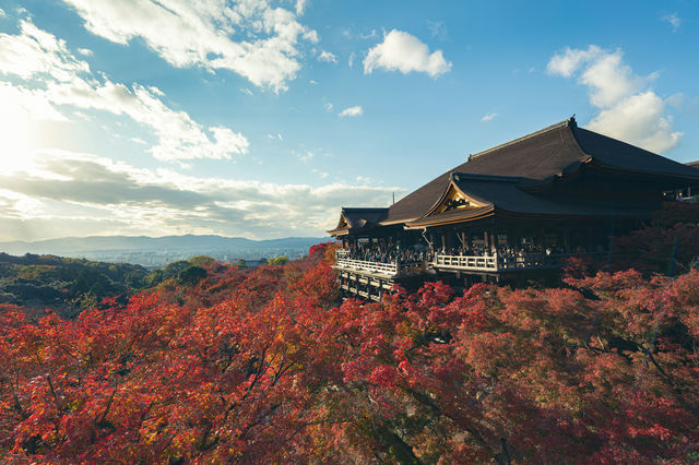 穿越千年京都：一座城市，半部日本史